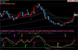 精品玩转KDJ软件开发指南